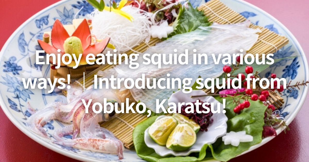 Enjoy eating squid in various ways! ｜Introducing squid from Yobuko, Karatsu!
